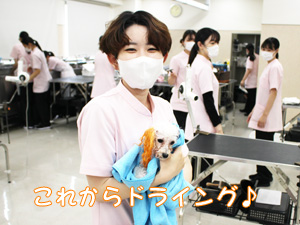 動物看護科のカラーリング実習♪